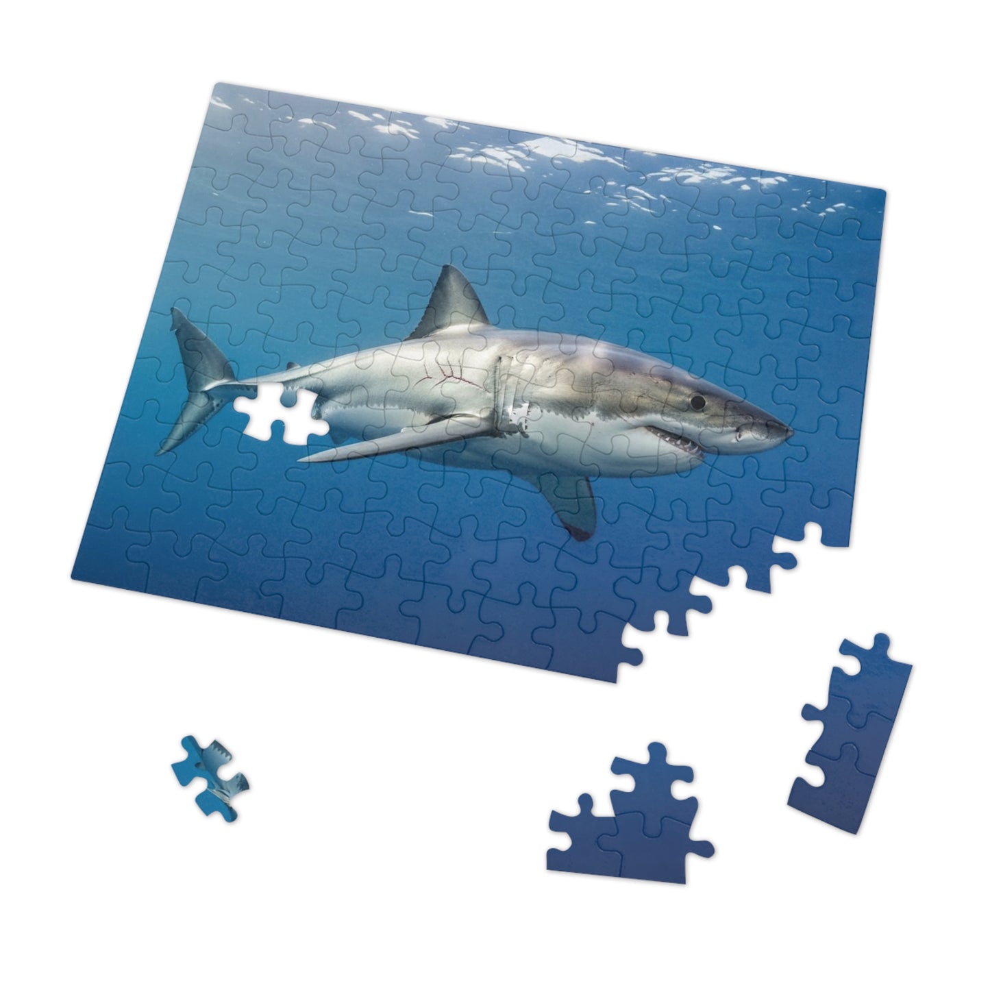 Great White Shark Jigsaw Puzzle — 500-Piece Ocean Puzzle with Tin Gift Box