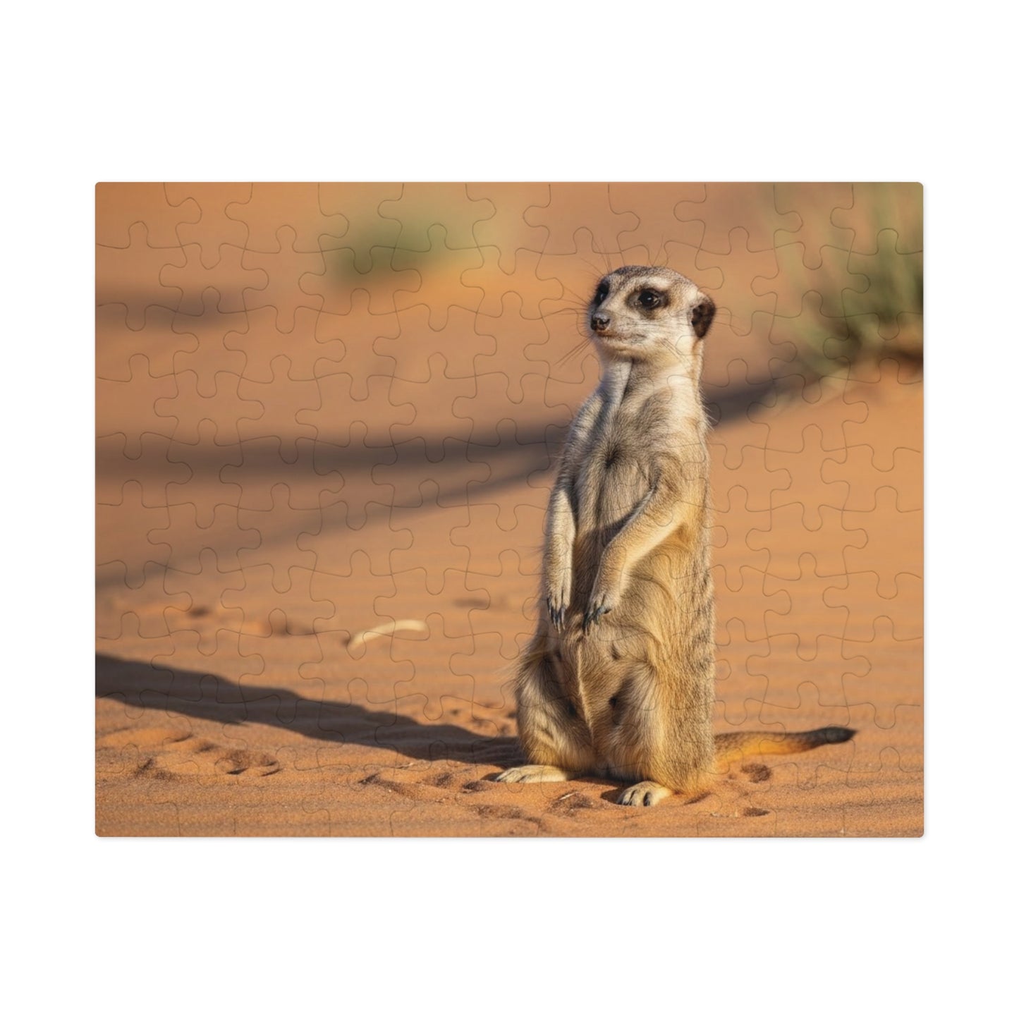 Meerkat Jigsaw Puzzle