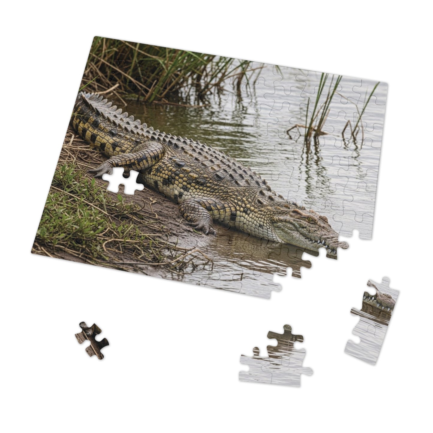 Crocodile Wildlife Jigsaw Puzzle