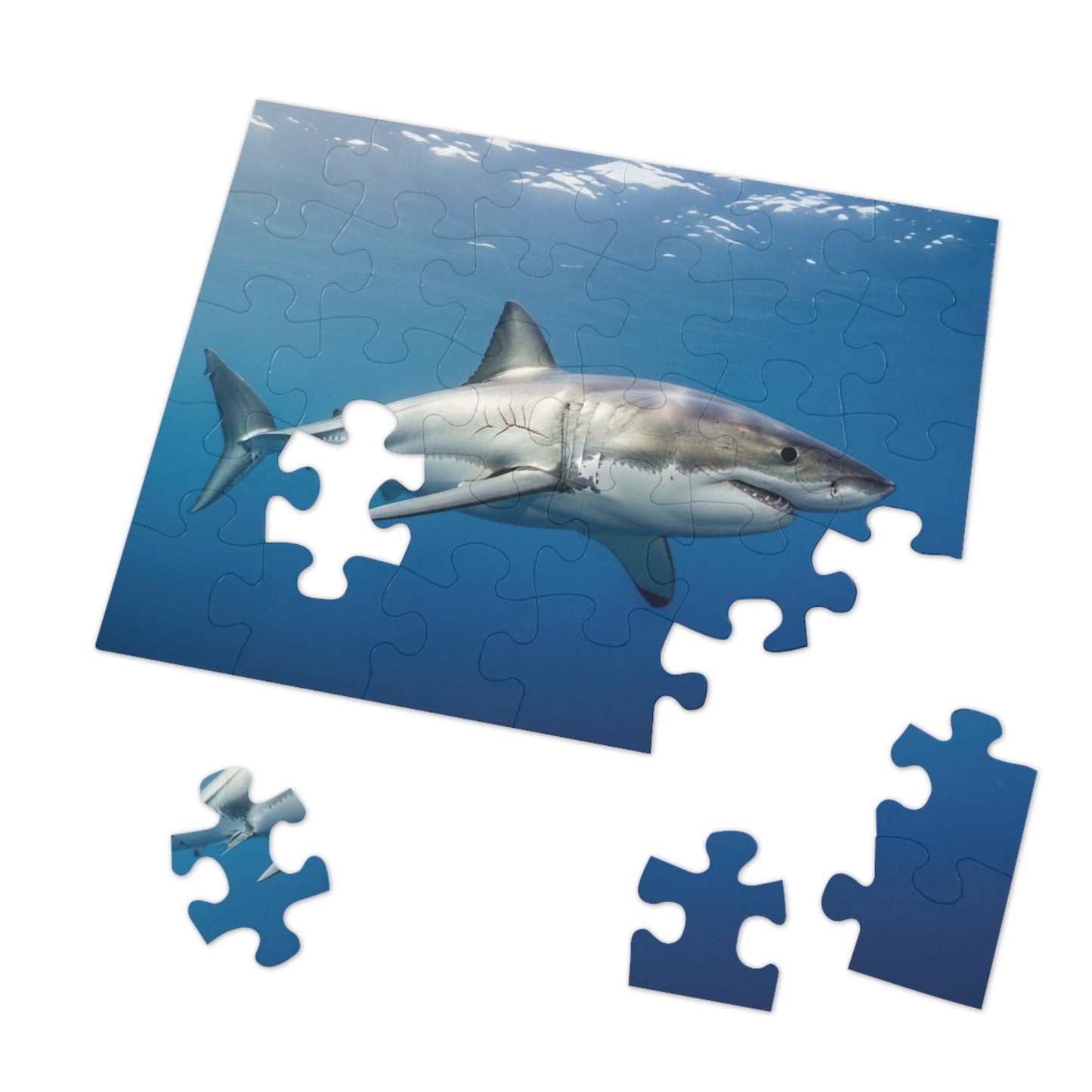 Great White Shark Jigsaw Puzzle — 500-Piece Ocean Puzzle with Tin Gift Box