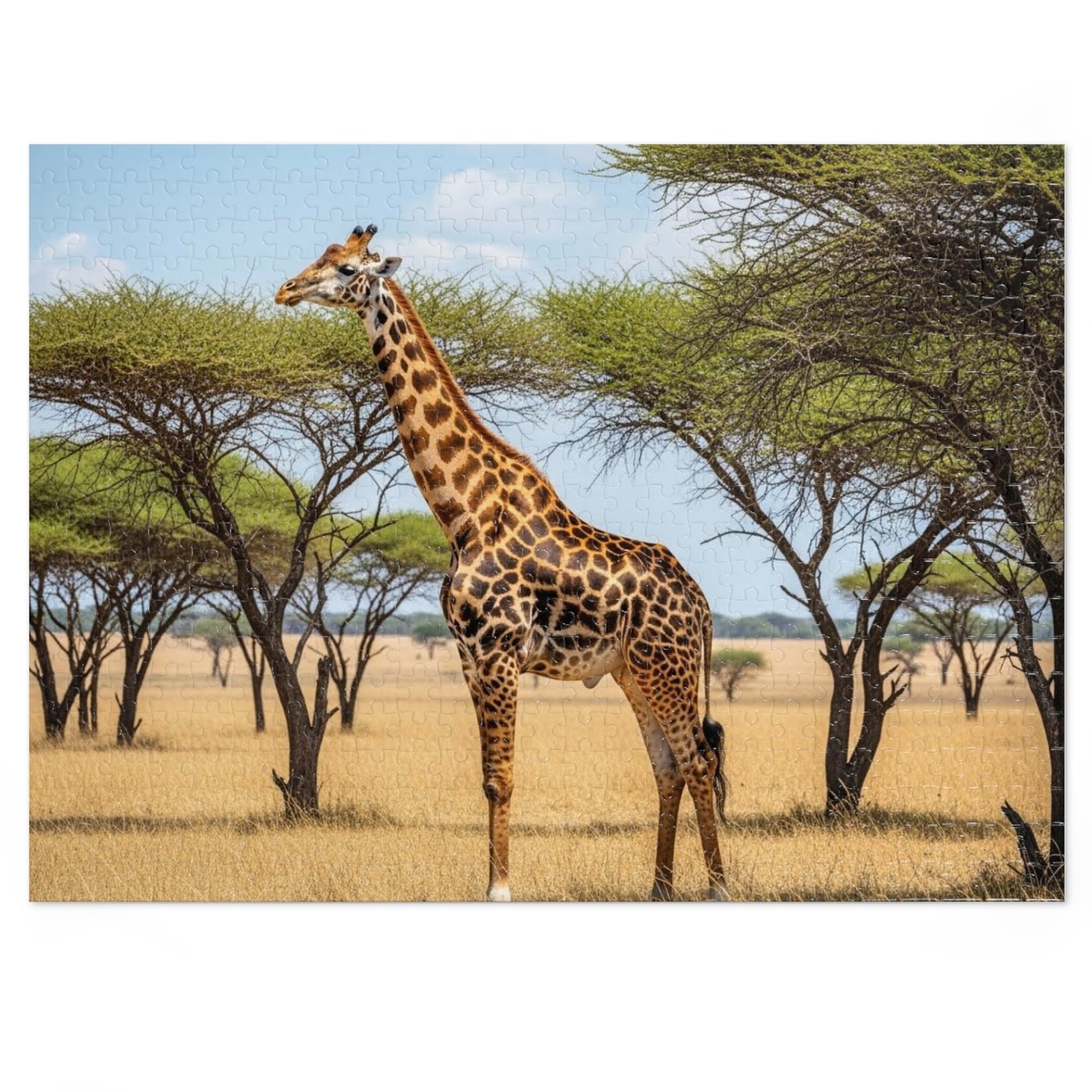 Giraffe Savannah Jigsaw Puzzle