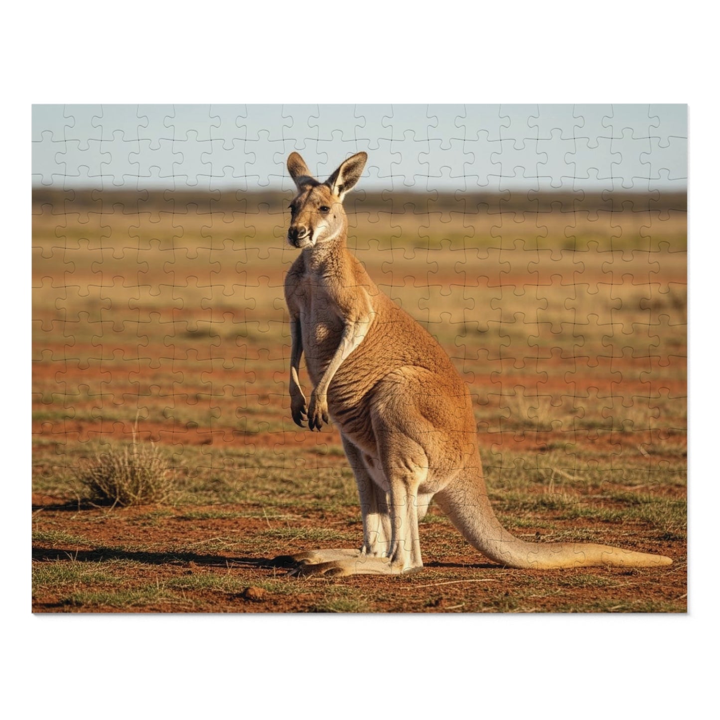 Kangaroo Jigsaw Puzzle