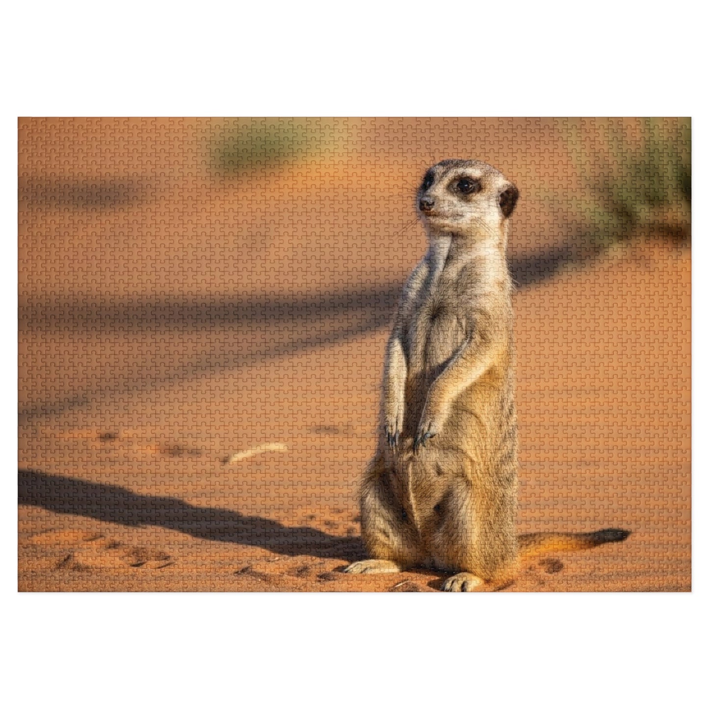 Meerkat Jigsaw Puzzle