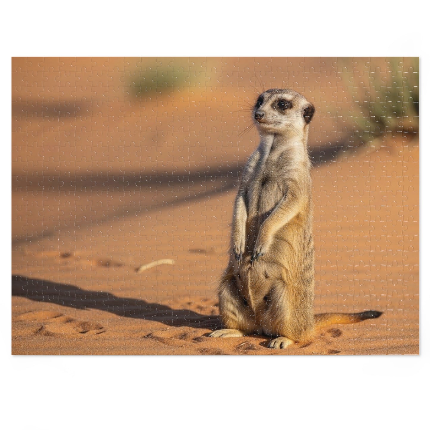 Meerkat Jigsaw Puzzle