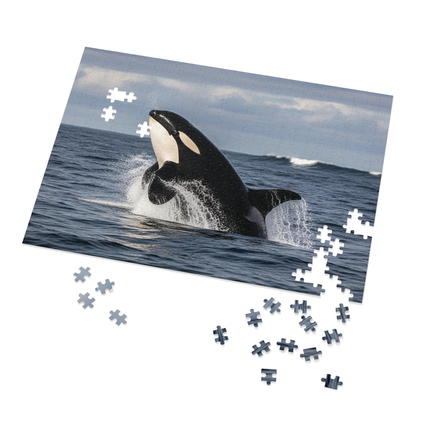 Orca Whale Jigsaw Puzzle — 500-Piece Ocean Puzzle with Tin Gift Box
