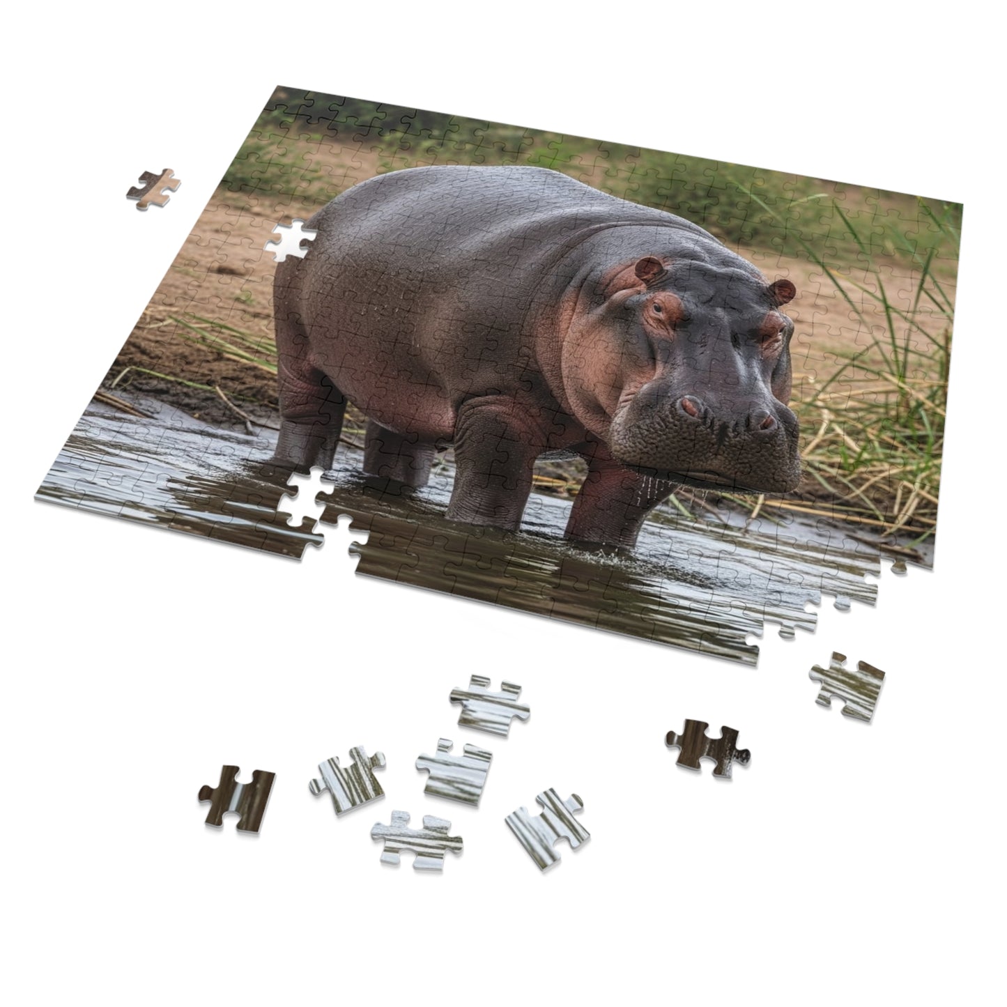 Hippopotamus Jigsaw Puzzle