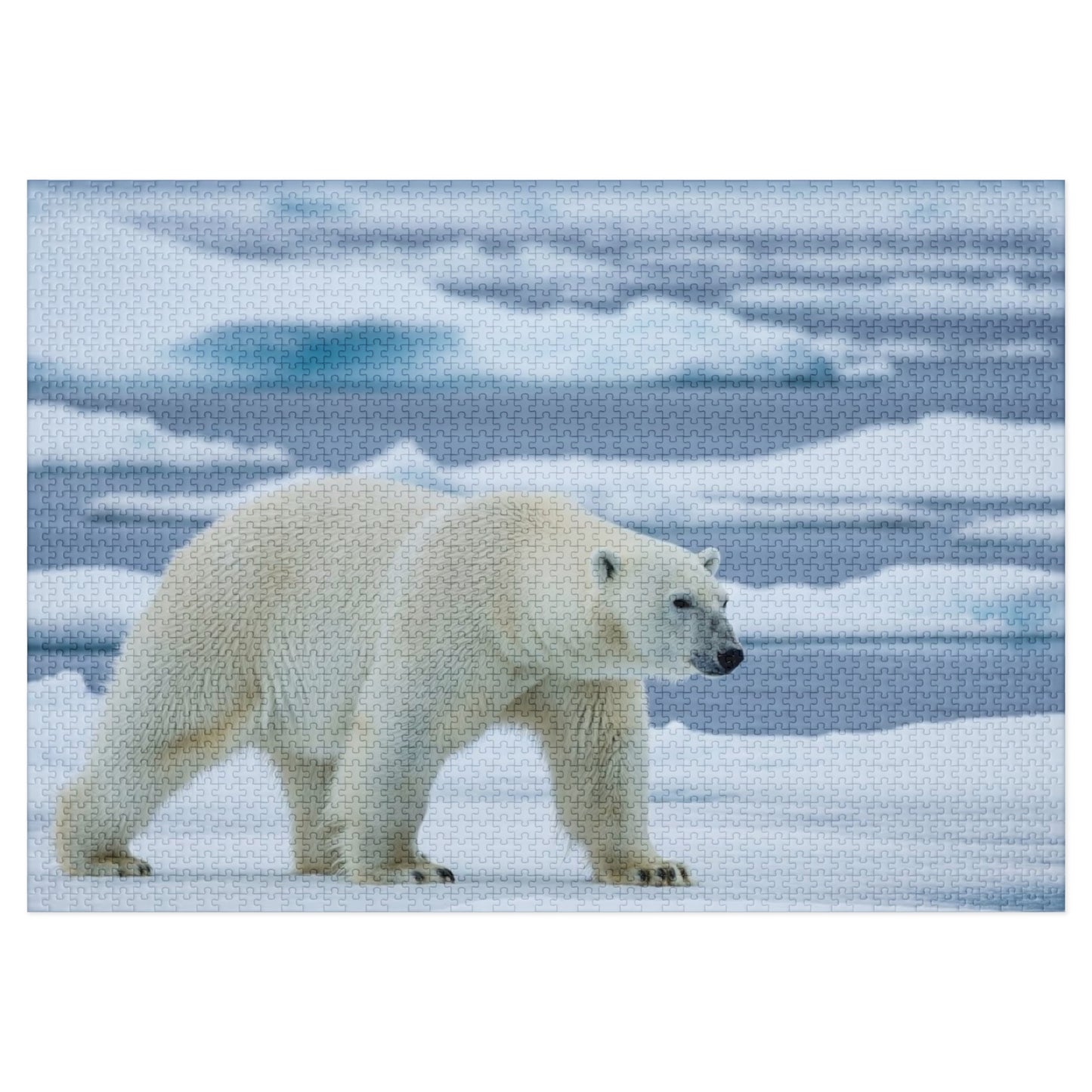 Polar Bear Arctic Jigsaw Puzzle