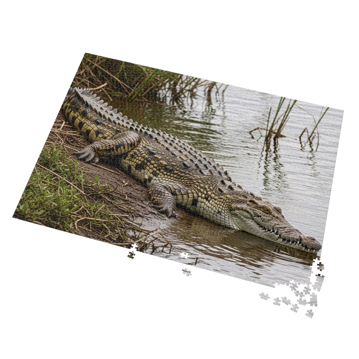 Crocodile Wildlife Jigsaw Puzzle